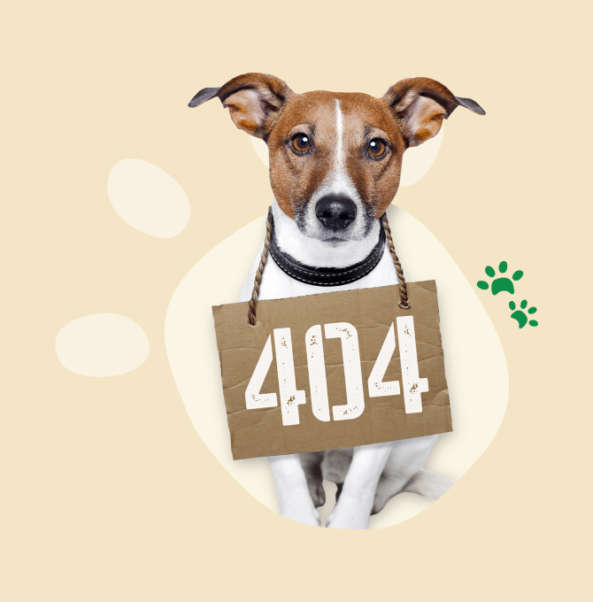 A dog holding a sign that says 404.