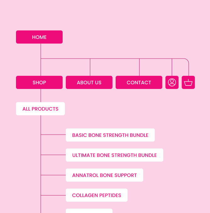 Visual representation of the Healthy Bones Co. website structure (diagram).