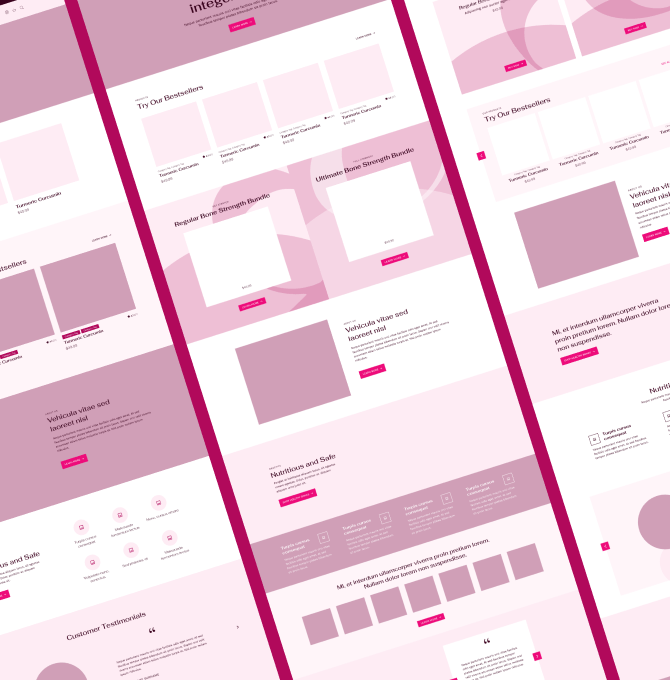 Visual representation of low-fidelity wireframe of Healthy Bones Co. website.