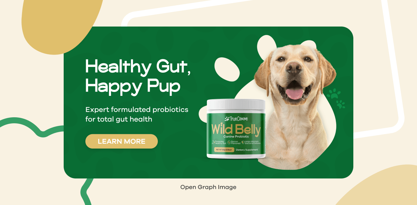 A graphic design containing a dog standing behind Wild Belly Probiotic packaging.