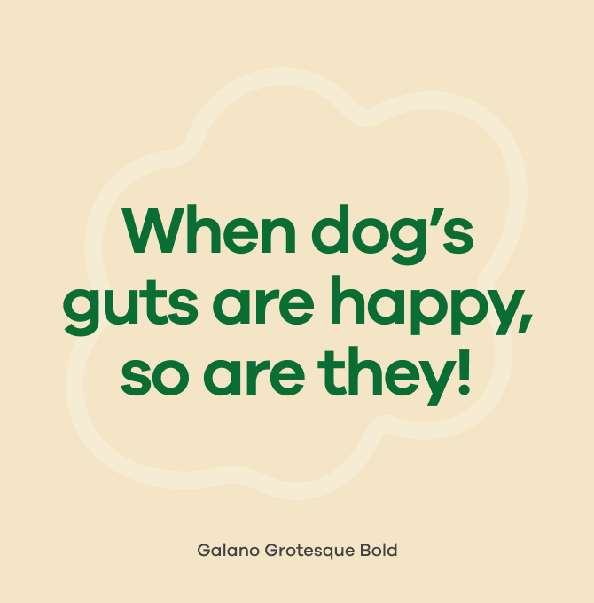 Text written in a Galano Grotesque Font.