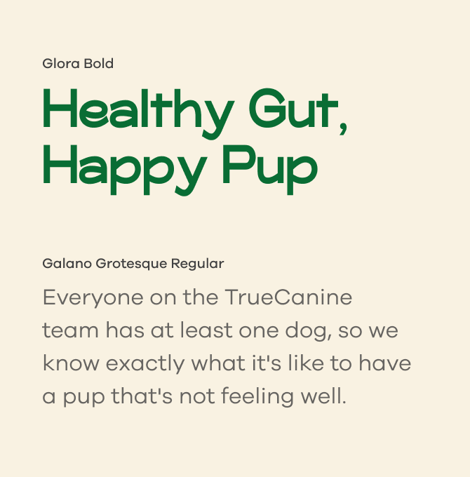 Visual representation of Glora Bold and Galano Grotesque Fonts.