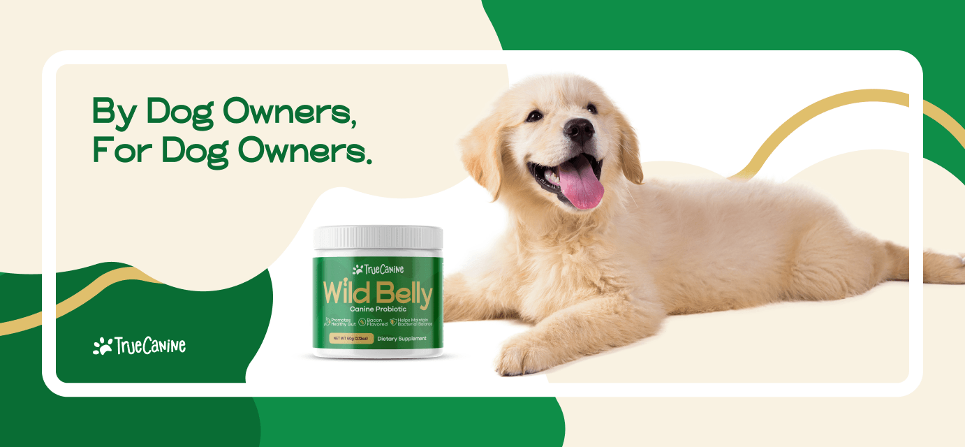 Small day laying in front of a packaging of the Wild Belly canine probiotic.