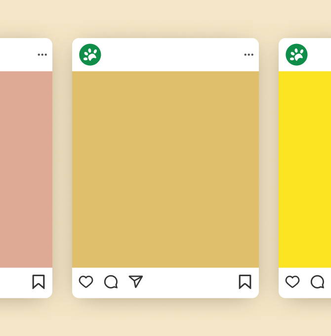 Three Instagram color palettes: vibrant and bold, soft and pastel, and warm and earthy.