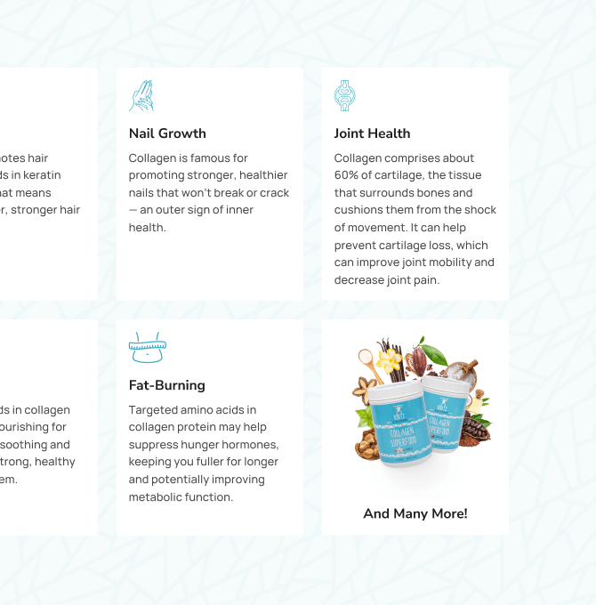 Part of the Rootz website design and iconography.