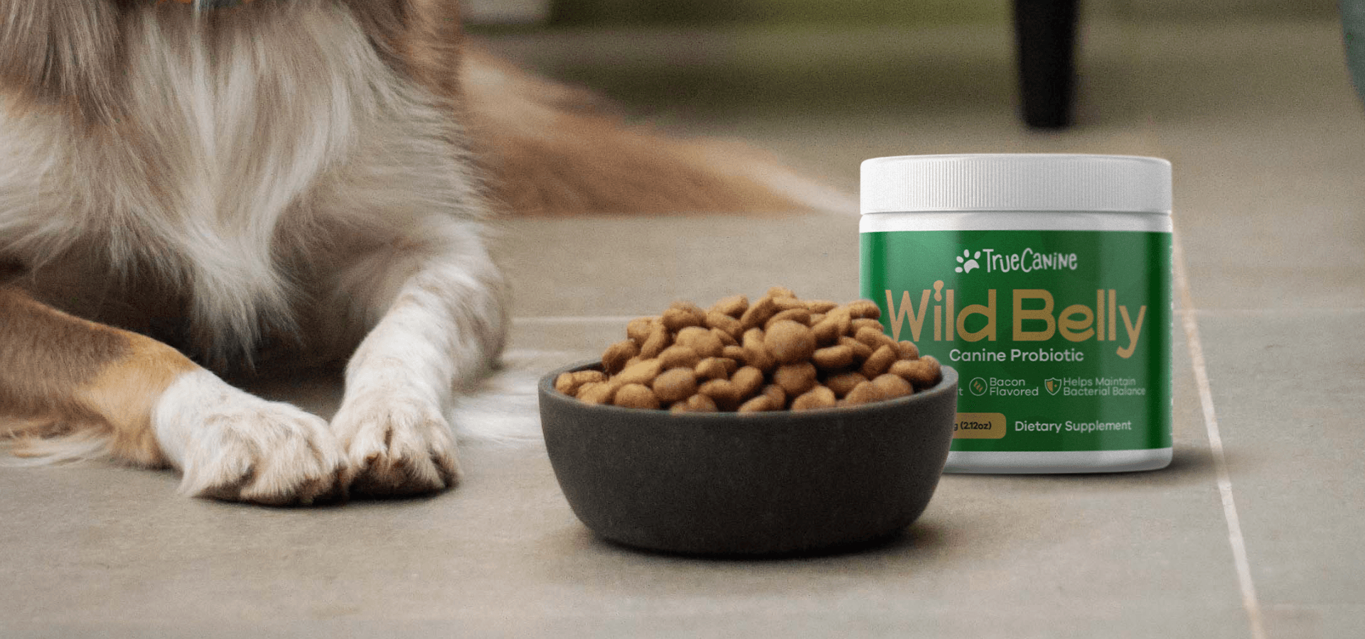 A dog sitting next to a bowl of dog food and a packaging of the Wild Belly canine probiotic.